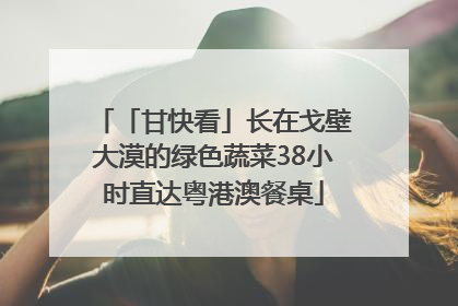 「甘快看」长在戈壁大漠的绿色蔬菜38小时直达粤港澳餐桌