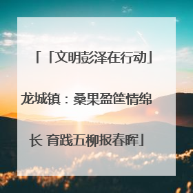 「文明彭泽在行动」龙城镇：桑果盈筐情绵长 育践五柳报春晖