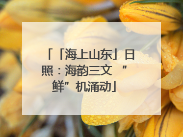 「海上山东」日照：海韵三文 “鲜”机涌动