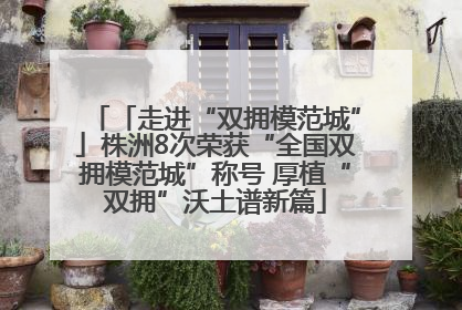 「走进“双拥模范城”」株洲8次荣获“全国双拥模范城”称号 厚植“双拥”沃土谱新篇