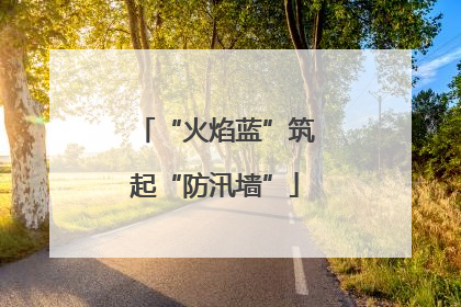 “火焰蓝”筑起“防汛墙”