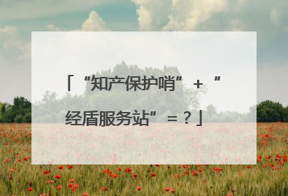 “知产保护哨”+“经盾服务站”=？