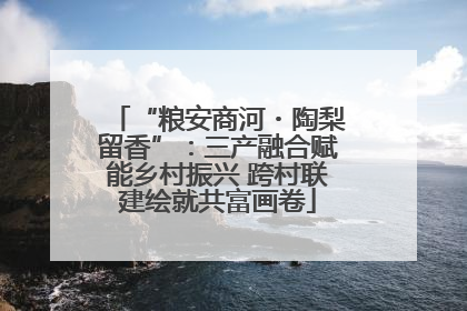 “粮安商河・陶梨留香”：三产融合赋能乡村振兴 跨村联建绘就共富画卷