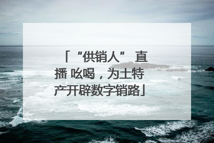 “供销人” 直播 吆喝，为土特产开辟数字销路