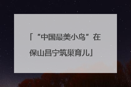 “中国最美小鸟”在保山昌宁筑巢育儿