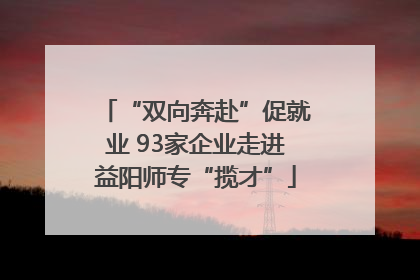 “双向奔赴”促就业 93家企业走进益阳师专“揽才”