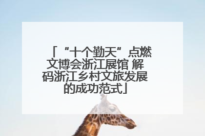 “十个勤天”点燃文博会浙江展馆 解码浙江乡村文旅发展的成功范式