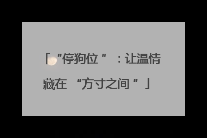“停狗位 ”：让温情藏在 “方寸之间 ”