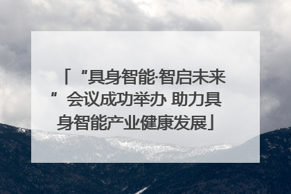 “具身智能·智启未来”会议成功举办 助力具身智能产业健康发展