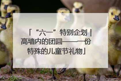 “六一”特别企划｜高墙内的团圆——一份特殊的儿童节礼物