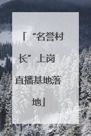 “名誉村长”上岗 直播基地落地