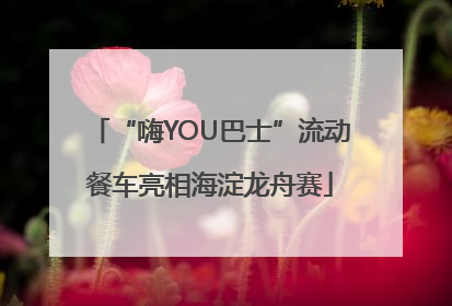 “嗨YOU巴士”流动餐车亮相海淀龙舟赛
