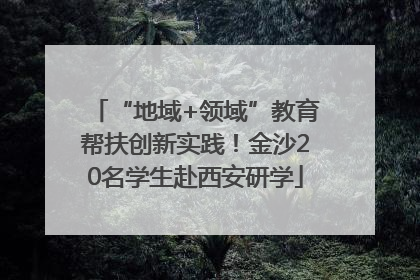 “地域+领域”教育帮扶创新实践！金沙20名学生赴西安研学