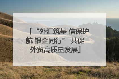 “外汇筑基 信保护航 银企同行” 共促外贸高质量发展