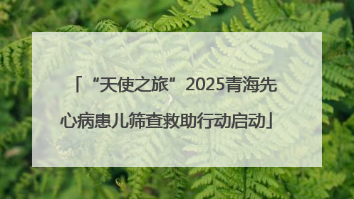 “天使之旅”2025青海先心病患儿筛查救助行动启动