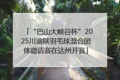 “巴山大峡谷杯”2025川渝陕羽毛球混合团体邀请赛在达州开赛