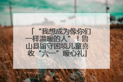 “我想成为像你们一样温暖的人”！鲁山县留守困境儿童喜收“六一”暖心礼