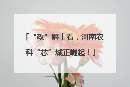 “政”解丨看，河南农科“芯”城正崛起！