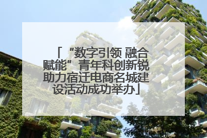 “数字引领 融合赋能”青年科创新锐助力宿迁电商名城建设活动成功举办