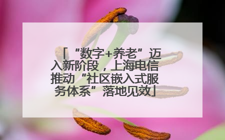 “数字+养老”迈入新阶段，上海电信推动“社区嵌入式服务体系”落地见效