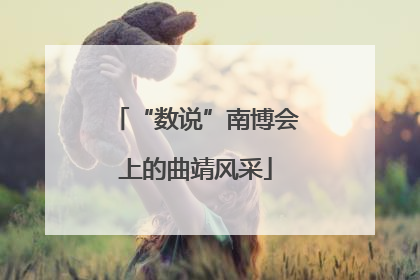 “数说”南博会上的曲靖风采