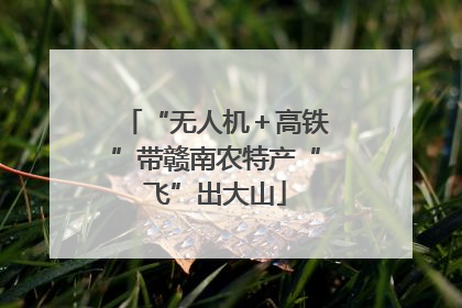 “无人机＋高铁”带赣南农特产“飞”出大山