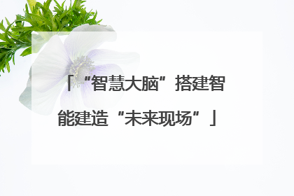 “智慧大脑”搭建智能建造“未来现场”