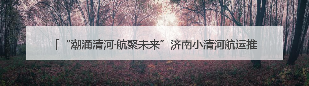 “潮涌清河·航聚未来”济南小清河航运推介会即将启幕 共绘内河航运发展新蓝图