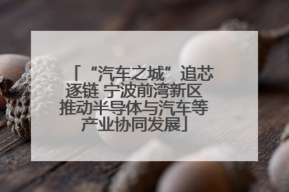 “汽车之城”追芯逐链 宁波前湾新区推动半导体与汽车等产业协同发展