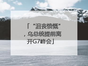 “沮丧愤慨”，乌总统提前离开G7峰会