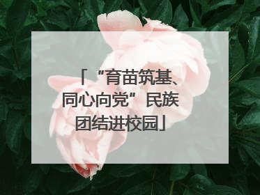“育苗筑基、同心向党”民族团结进校园