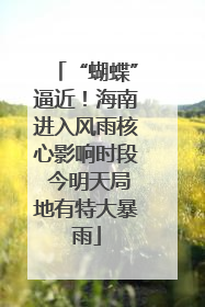 “蝴蝶”逼近！海南进入风雨核心影响时段 今明天局地有特大暴雨
