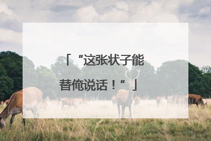 “这张状子能替俺说话！”