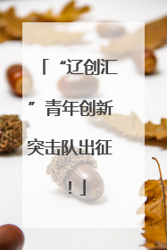 “辽创汇”青年创新突击队出征！