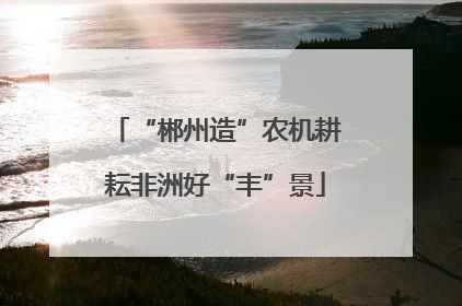 “郴州造”农机耕耘非洲好“丰”景