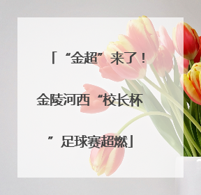 “金超”来了！金陵河西“校长杯”足球赛超燃