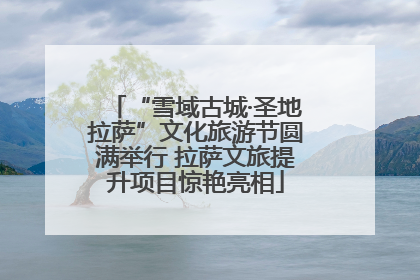 “雪域古城·圣地拉萨”文化旅游节圆满举行 拉萨文旅提升项目惊艳亮相