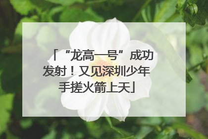 “龙高一号”成功发射！又见深圳少年手搓火箭上天