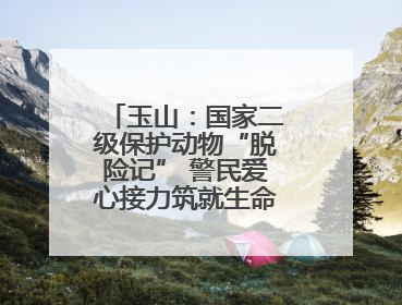 玉山：国家二级保护动物“脱险记” 警民爱心接力筑就生命驿站（图）