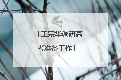 王宗华调研高考准备工作