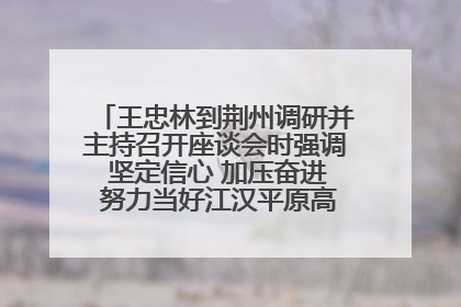 王忠林到荆州调研并主持召开座谈会时强调 坚定信心 加压奋进 努力当好江汉平原高质量发展排头兵