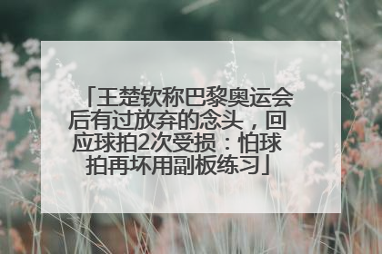王楚钦称巴黎奥运会后有过放弃的念头，回应球拍2次受损：怕球拍再坏用副板练习