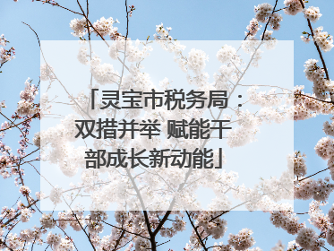 灵宝市税务局：双措并举 赋能干部成长新动能