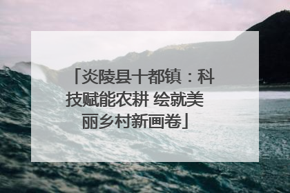 炎陵县十都镇：科技赋能农耕 绘就美丽乡村新画卷