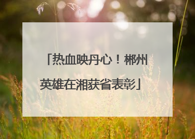热血映丹心！郴州英雄在湘获省表彰