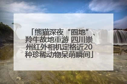 熊猫深夜“圈地”、羚牛故地重游 四川崇州红外相机定格近20种珍稀动物呆萌瞬间