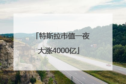 特斯拉市值一夜大涨4000亿