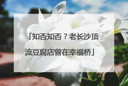 知否知否？老长沙顶流豆腐店曾在幸福桥