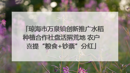琼海市万泉镇创新推广水稻种植合作社盘活撂荒地 农户喜提“粮食+钞票”分红