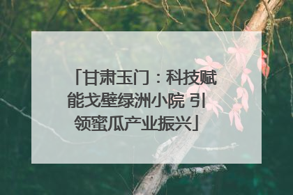 甘肃玉门：科技赋能戈壁绿洲小院 引领蜜瓜产业振兴